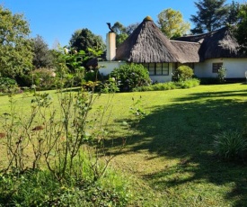 Piccadilly thatch cottage