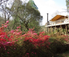 AfriCamps at Magoebaskloof