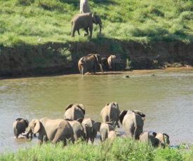 Kruger View Chalets