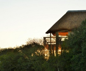 Garden Route Safari Camp