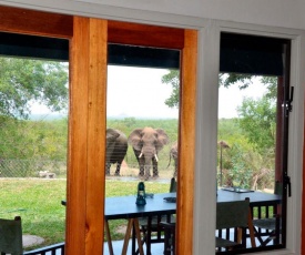 Bed in the Bush - Tingala Lodge