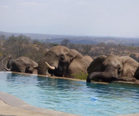 Mbizi Bush Lodge