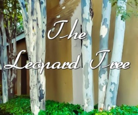 The Leopard Tree