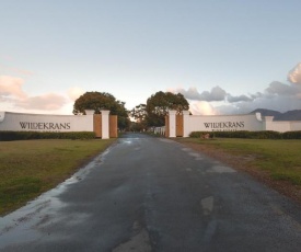 Endless Vineyards at Wildekrans Wine Estate