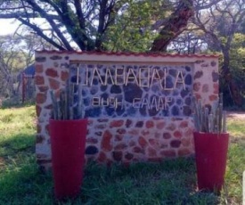 umbabala bush camp