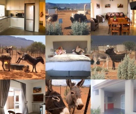 Donkieshoek Accommodation & Campsite, Calvinia