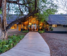 Thornybush Game Lodge