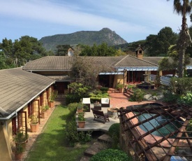 Unique Hout Bay House