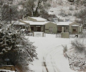 Aspen Guest House