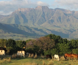 Ardmore Guest Farm