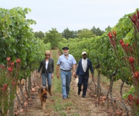 Belfield Wines and Farm Cottages