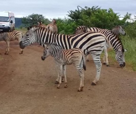 Hluhluwe Gate Safari Camp