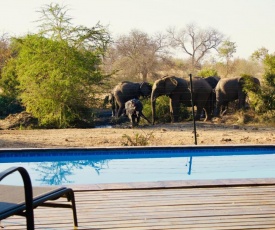 Masodini Game Lodge