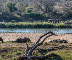 Nzuwizi River Safari Lodge