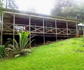 Old Pine Cabin