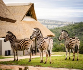 Jbay Zebra Lodge