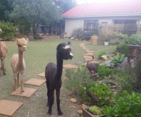 Alpaca Self Catering Cottage Kleinmond